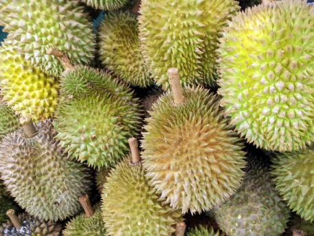 貓先生，垃圾分類(lèi)廠家，智能垃圾房，社區(qū)生活垃圾分類(lèi)